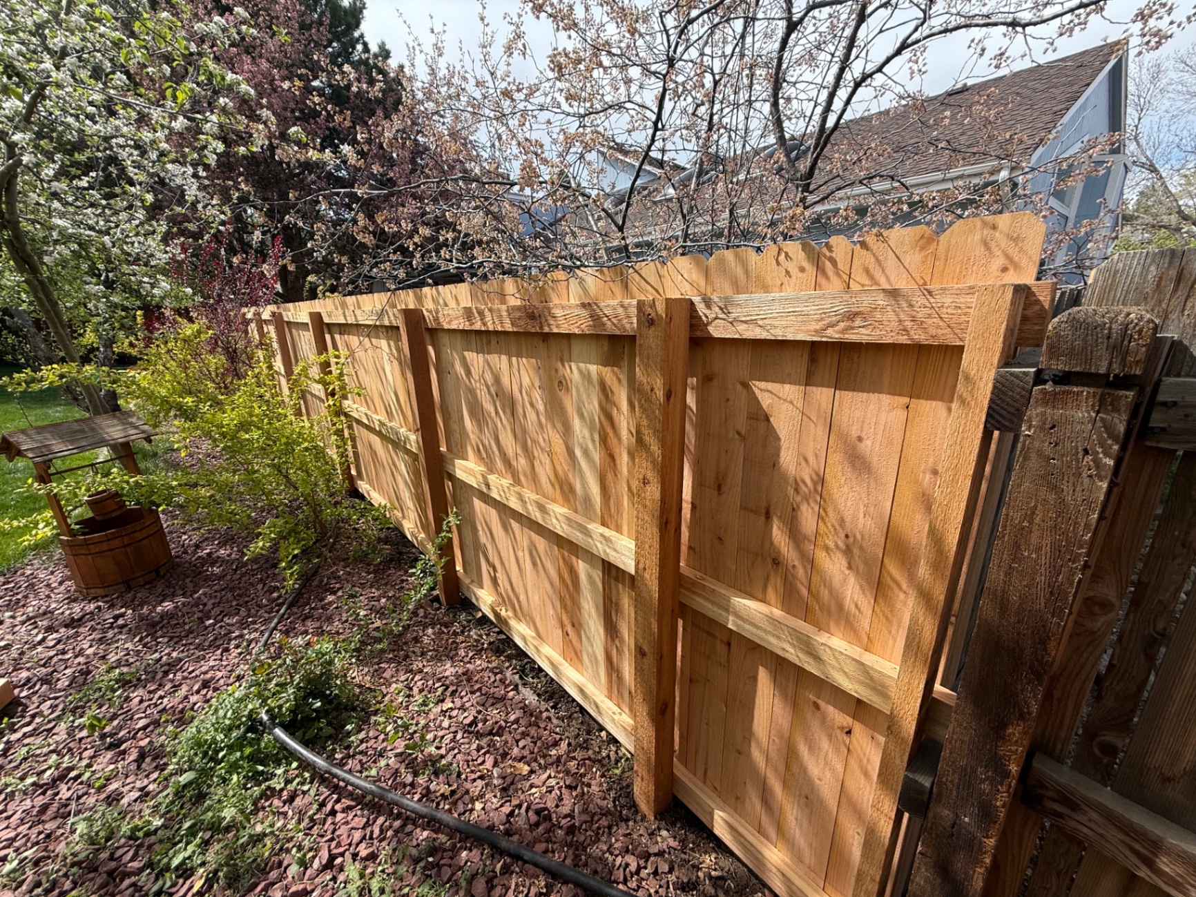 Cedar Fence
