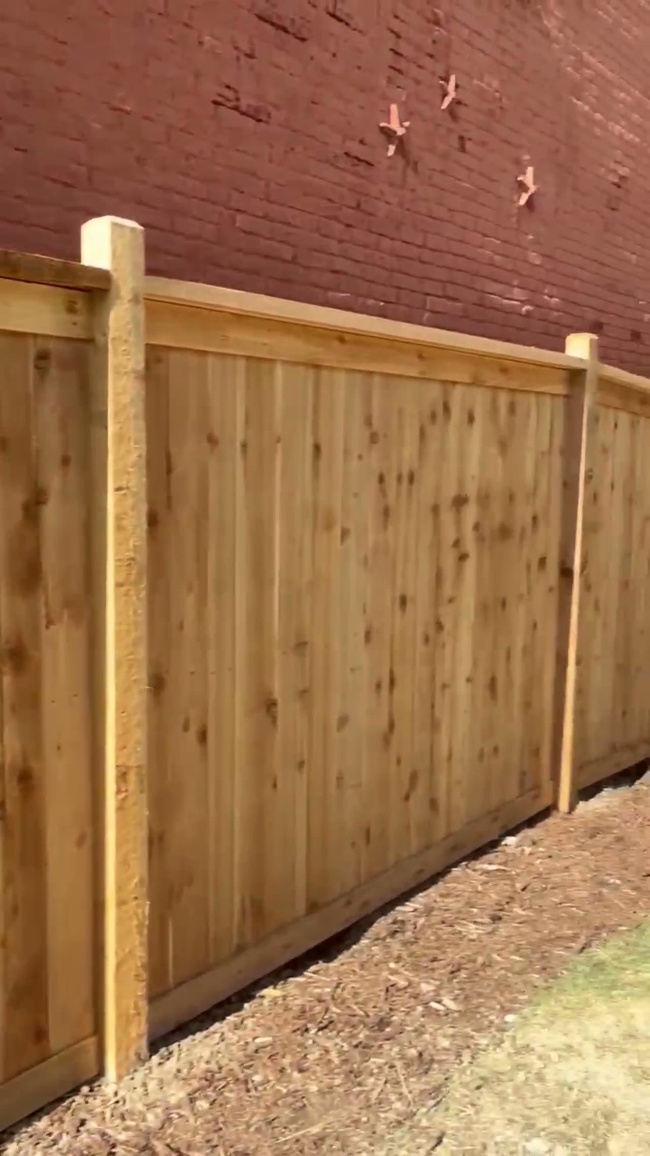 Cedar Privacy Build