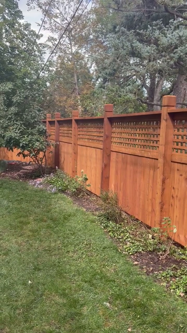 Most Recent Project